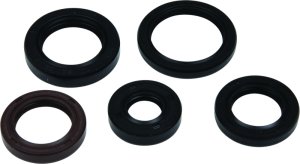 Polaris Phoenix Engine Oil Seal Kit - Vertex Pistons - `05-`23 Polaris Phoenix Engine Oil Seal Kit - Vertex Pistons - `05-`23
